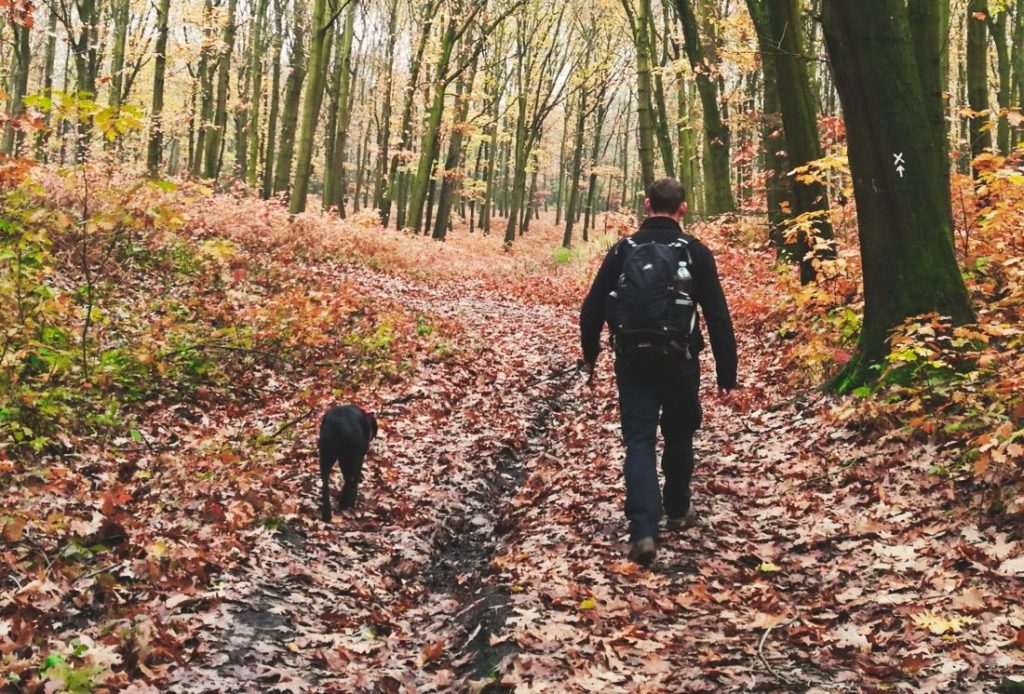 So lange kann ein Spaziergang mit meinem Labrador dauern.